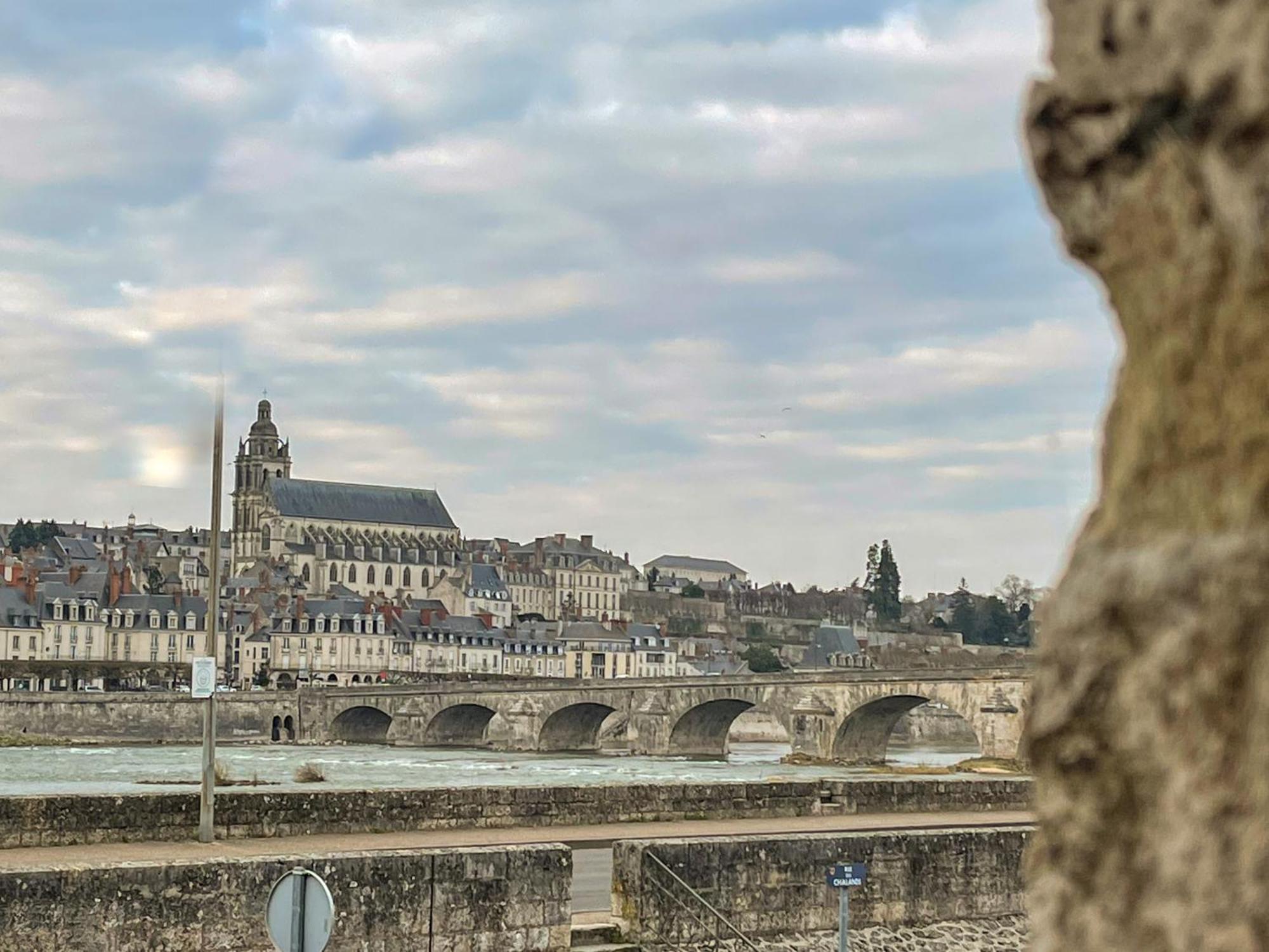 Appartamento Loft De La Maison Des Chalands Blois Esterno foto